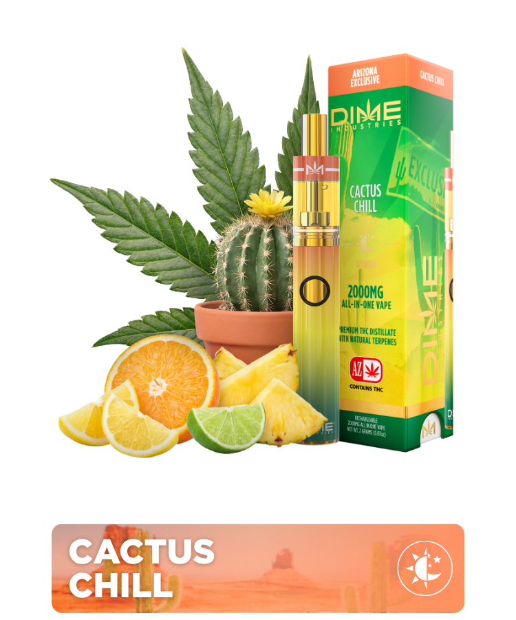 DIME CARTS DIME CARTS