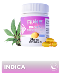 DIME CARTS